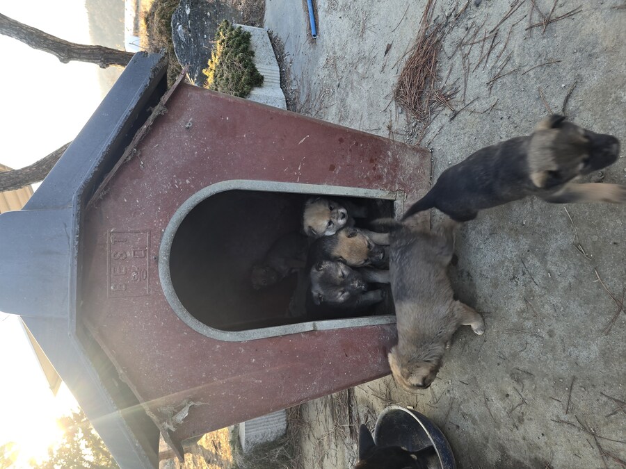 아가 멈뭉. jpg_1.jpg