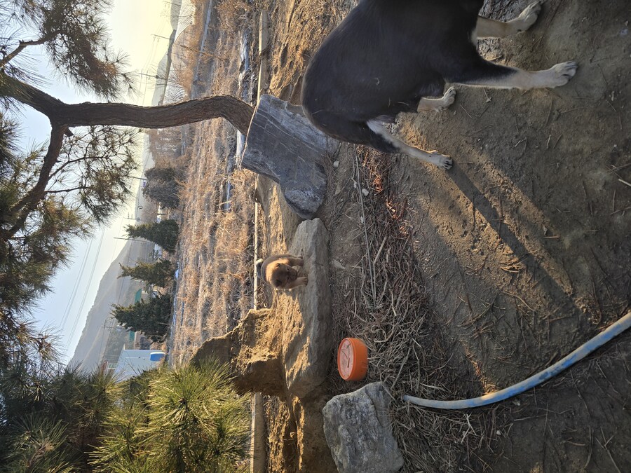 아가 멈뭉. jpg_2.jpg