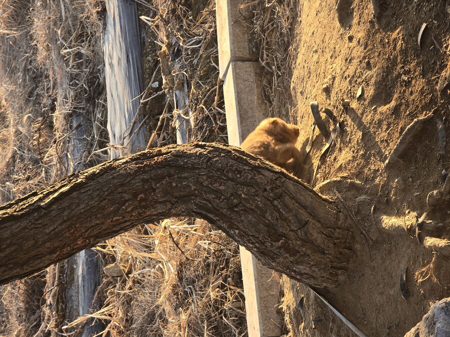 아가 멈뭉. jpg_5.jpg