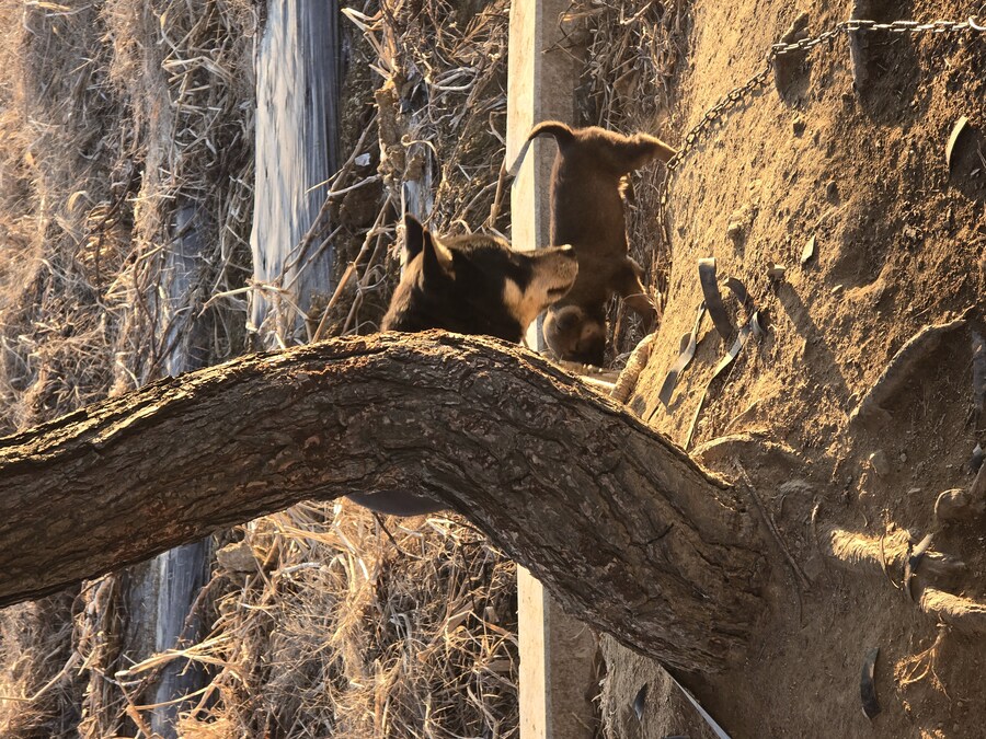 아가 멈뭉. jpg_4.jpg