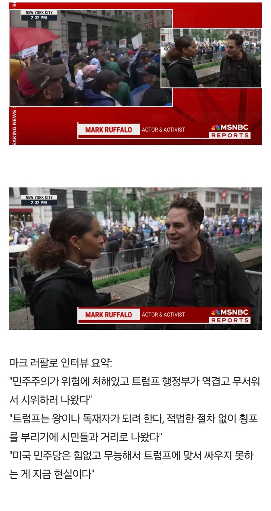 트럼프 반대 시위에 나온 헐크_1.jpg
