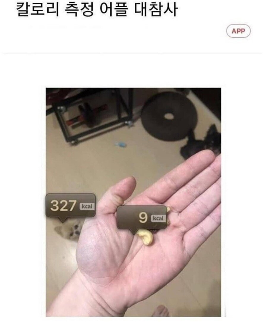 칼로리 측정 어플 대 참사_1.jpg