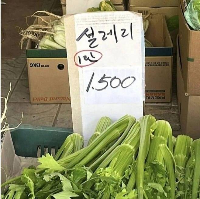 전통 시장에 가면 볼 수 있는 재밌는 다양한 볼거리들_10.jpg