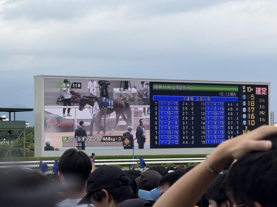 경마) / 말딸) 매 경기 다른 위치에서 달리는 말은 좋아하시나요?_2.jpg