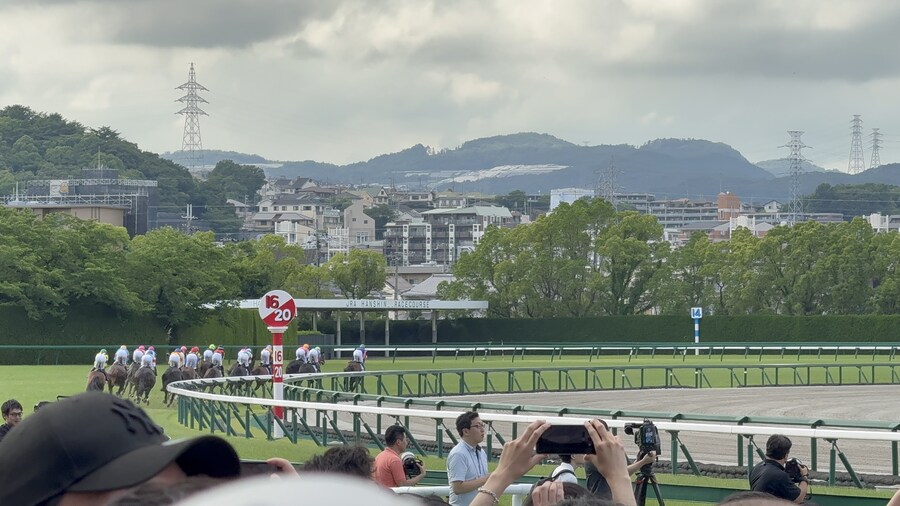 경마) / 말딸) 매 경기 다른 위치에서 달리는 말은 좋아하시나요?_4.jpg
