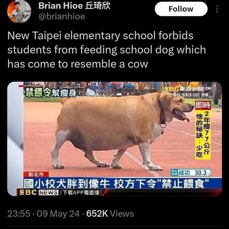 대만 초등학교에서 금지사항인 것.jpg_1.jpg