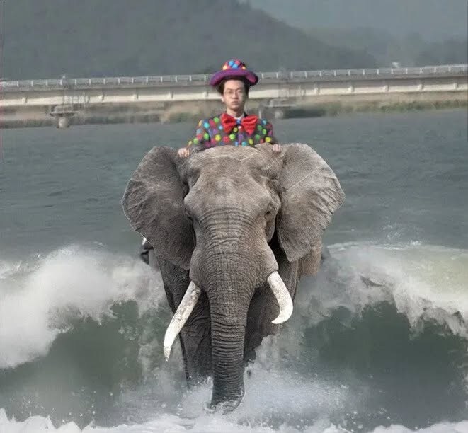 롤) 도란 평가는 루리웹에서도 박하긴 했음_2.jpg