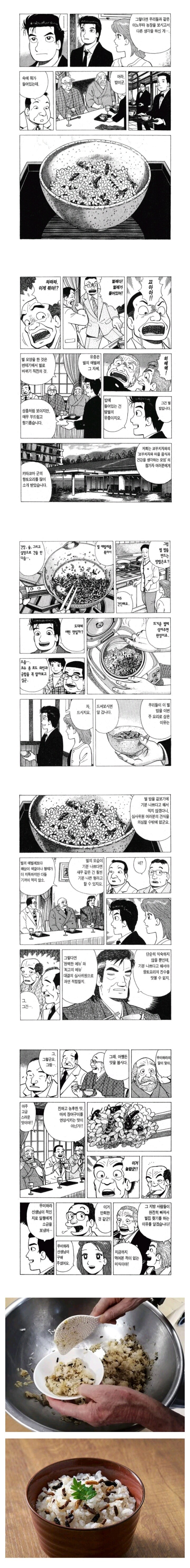 일본의 벌밥_1.jpg