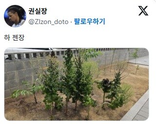 텃밭 가꾸기 초보들이 가장 흔하게 하는 실수_3.jpg