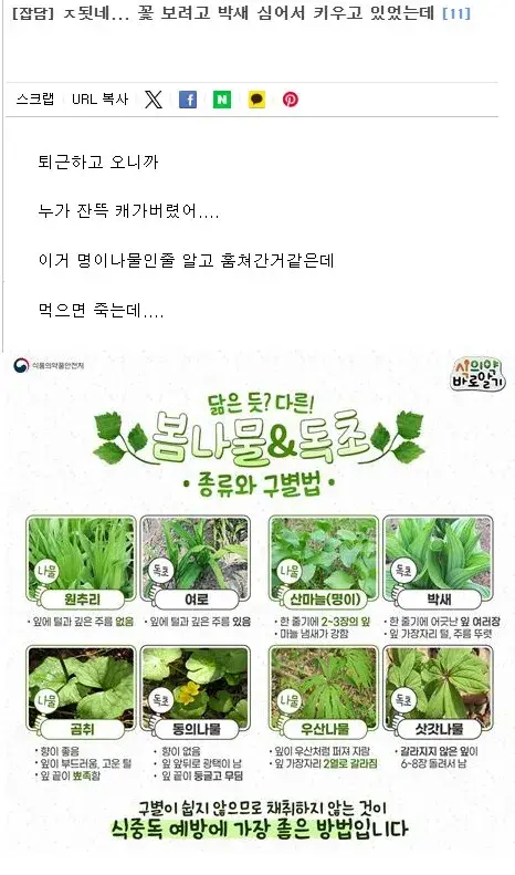 농산물도둑을 걱정하는 농부