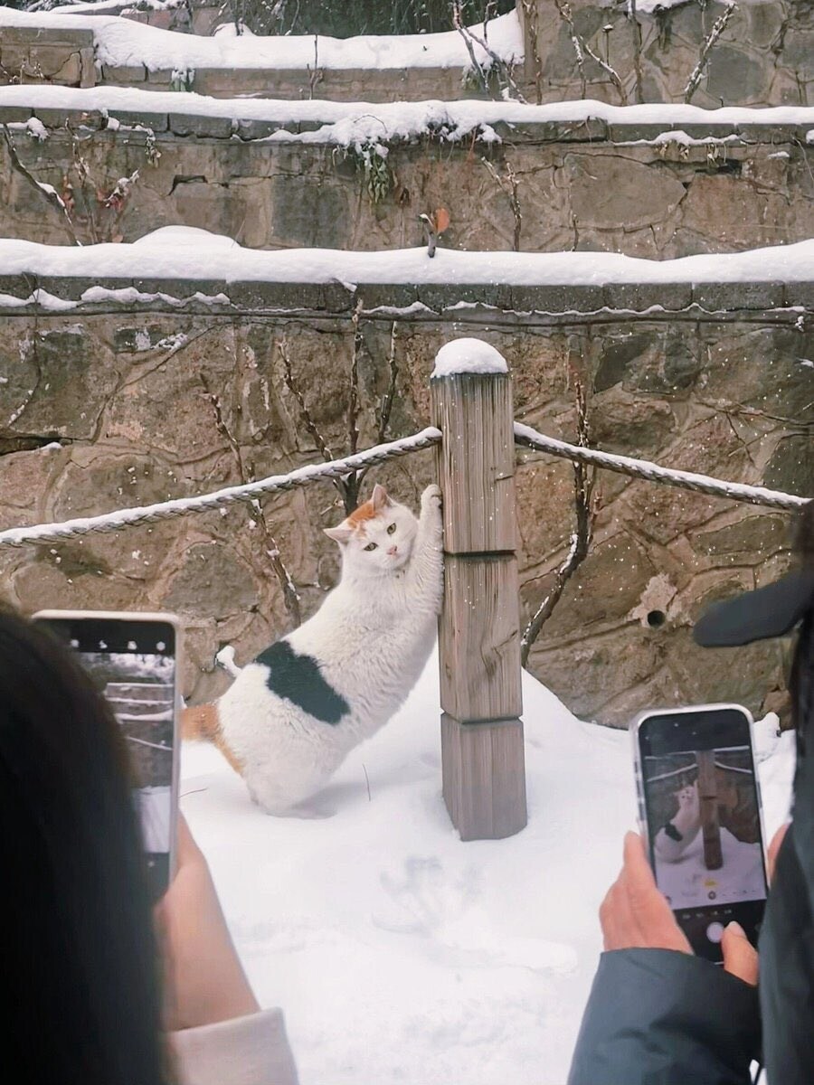 완두콩밥이 먹고 싶다..._1.jpg