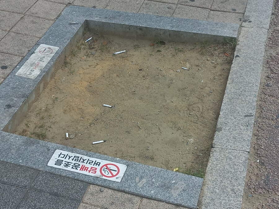 담배 관련으로 보기 싫어하는 거_1.jpg