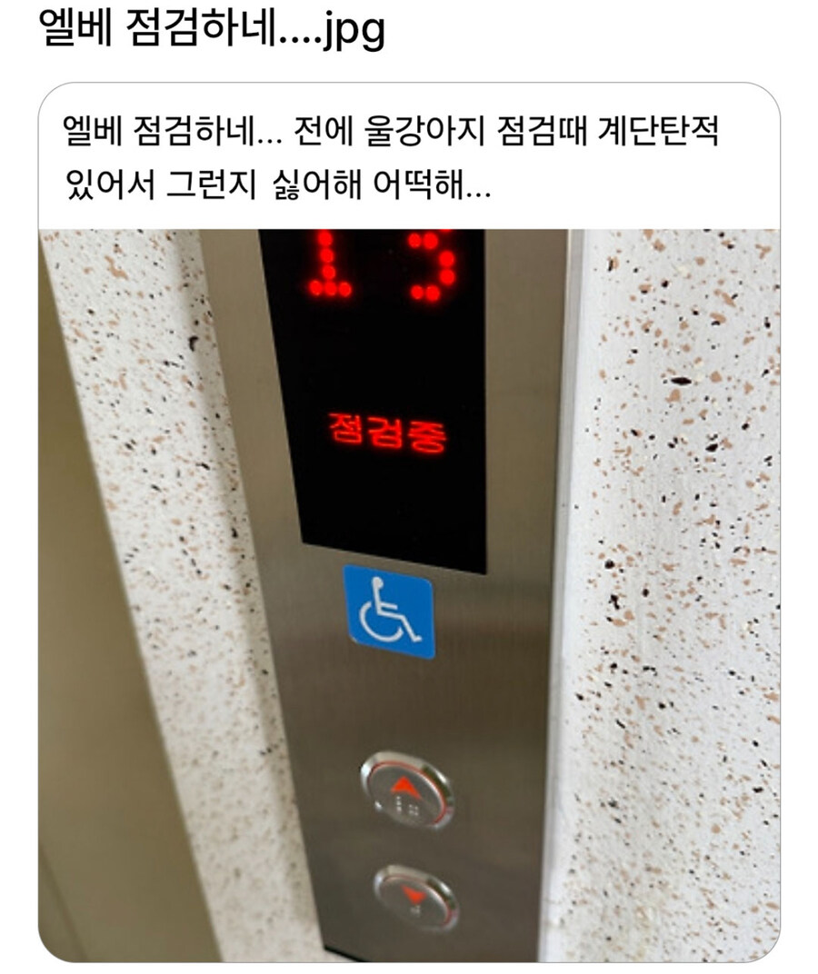 엘리베이터 점검하는 거 보고 빡친 댕댕이.jpg_1.jpg