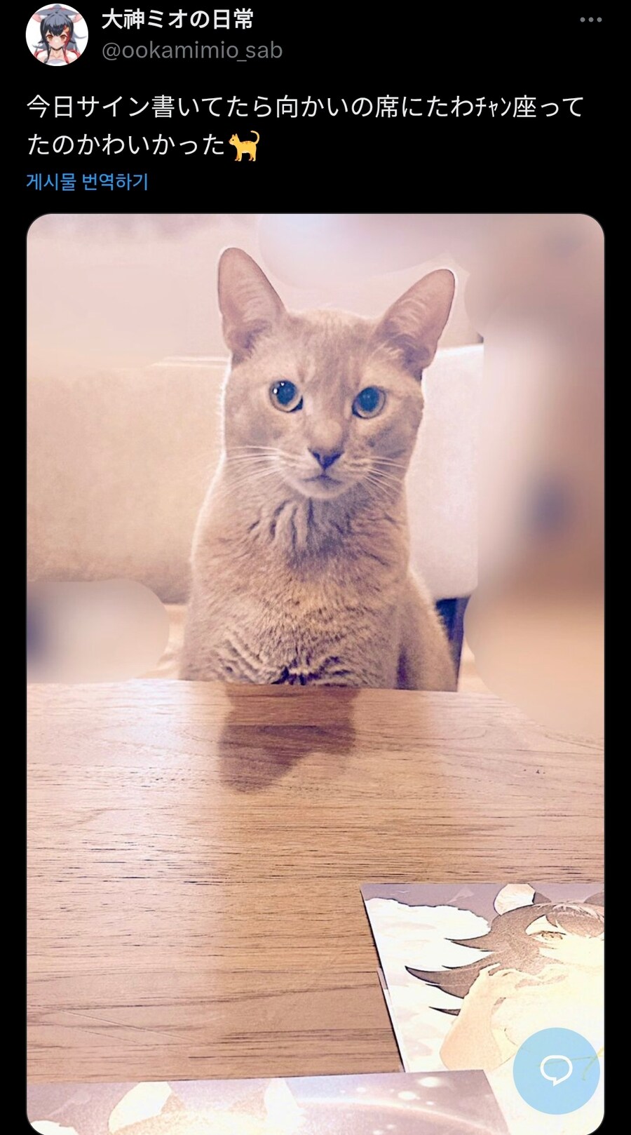 버튜버)또 기습 고양이 자랑을_1.jpg