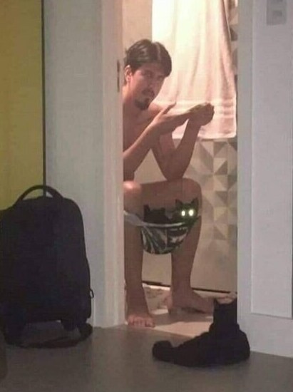 팬티에 고양이 담고 똥싸면서 폰하는걸 지켜보는 짤_1.png