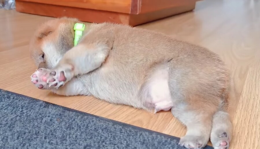 월요일 아침에 보면 좋은거_1.jpg