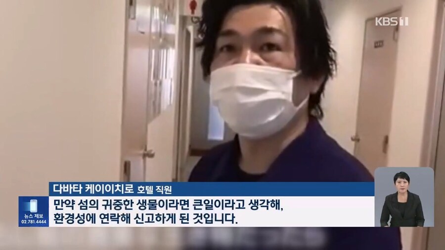 중국인 짐에서 나온 보호종 5000마리_4.jpg