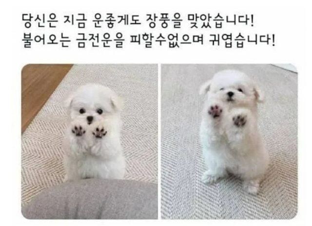 (대충 금전운 받으라는 내용)_1.jpg