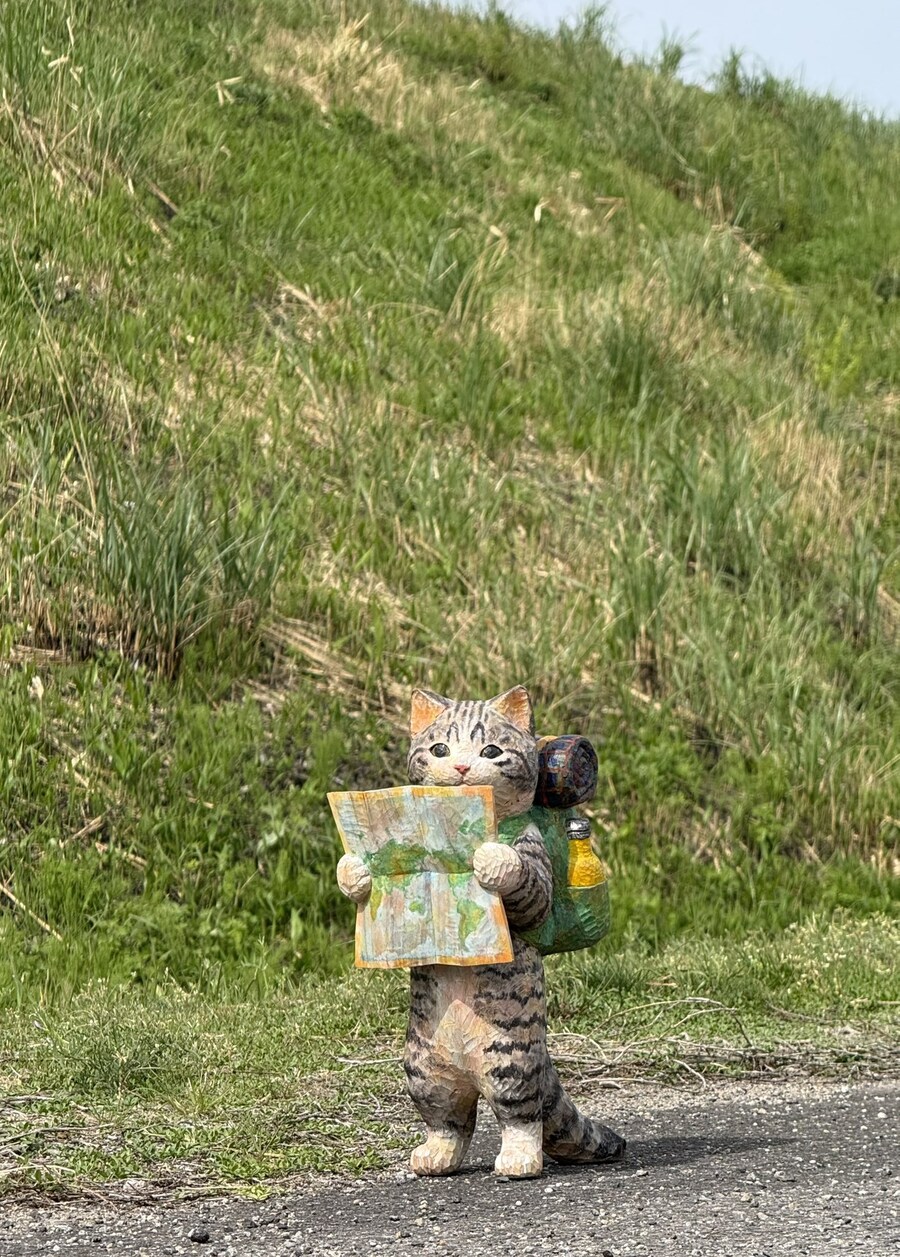 고양이 지도 여행 목상🗺️_1.jpg