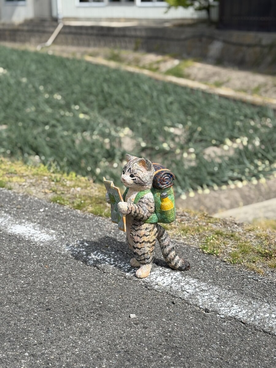 고양이 지도 여행 목상🗺️_3.jpg