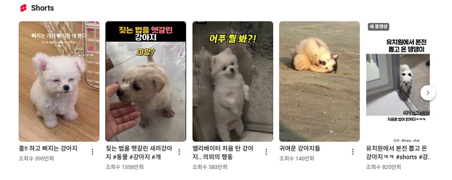 알고리즘은 확실히 내가 자주보는것 위주로 보여주긴하더라_1.png