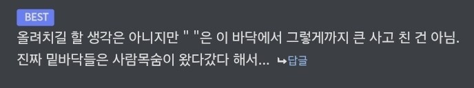 버튜버) 배글에 이 댓글 겁나 공감된다..._1.jpg