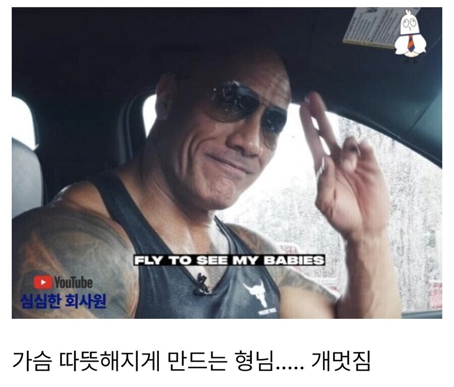 드웨인존슨은 대체 무슨 일이 있던거임?_1.jpg
