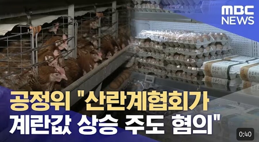 마침내 오나 계란값 정상화????_1.jpg