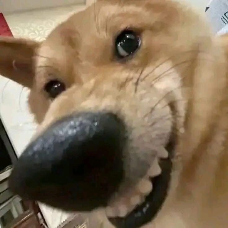 로아 멸망 5틀 전_1.jpg