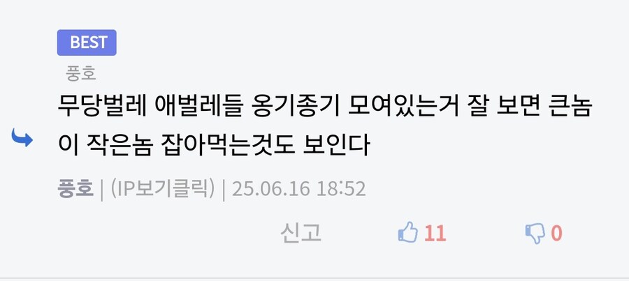루리웹 벌레만도 못한 게시판_1.jpg