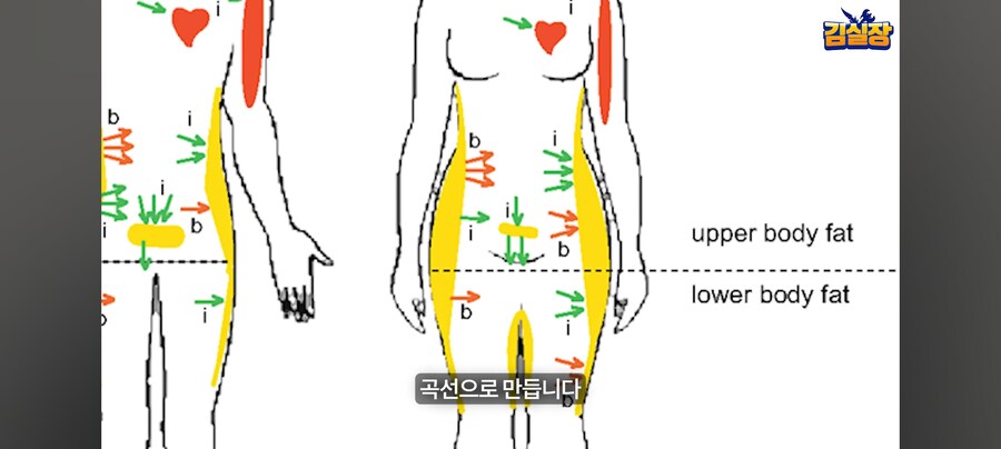 김형태의 엉덩이철학_56.jpg