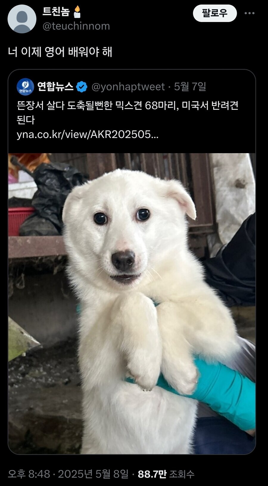 너 이제 영어 배워야 해.jpg_1.jpg