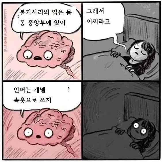 "불가사리의 입은 몸통 중앙부에 있어"_1.webp