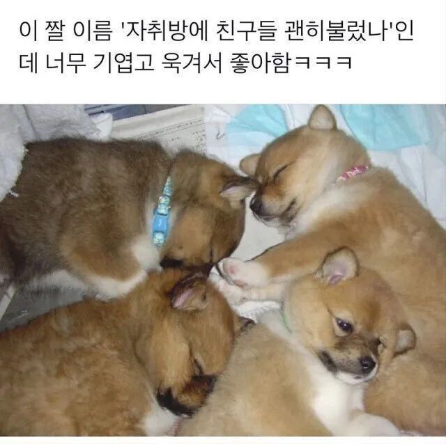 자취방에 친구들 괜히 불렀나?_1.jpg