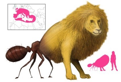 대충 이ㅜ새끼들 떡밥 슬슬 질려서 그냥 불내고 싶은 거 같으면 ㄱㅊ 좀 줄까?_1.jpg