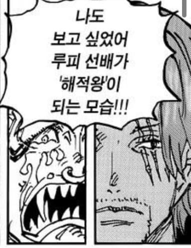 원피스) 아직도 팬들 사이에서 해석 갈리는 장면_1.jpg