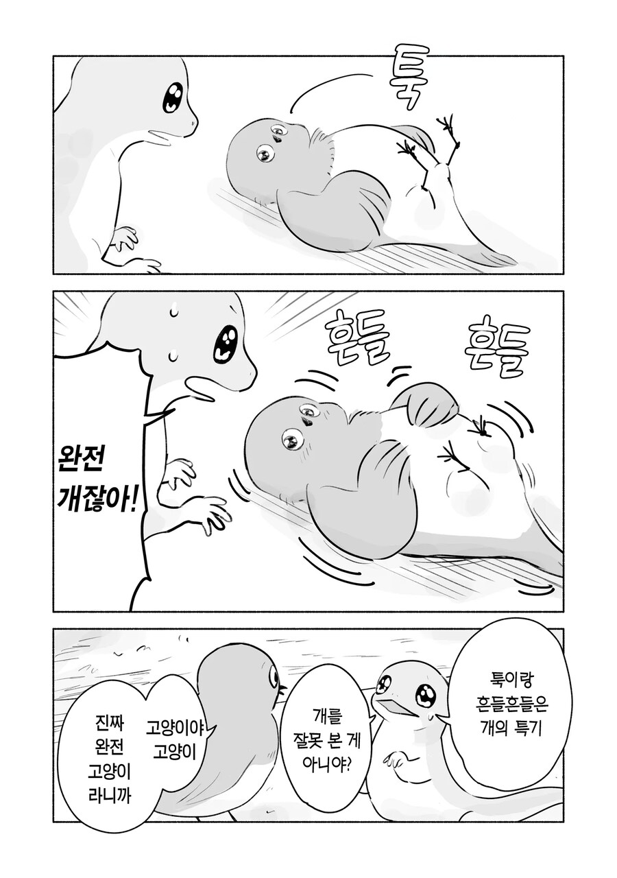 고양이를 따라하는 참새와 도마뱀_7.png