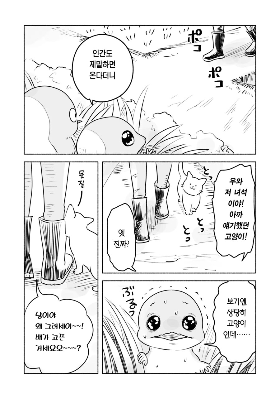 고양이를 따라하는 참새와 도마뱀_9.png