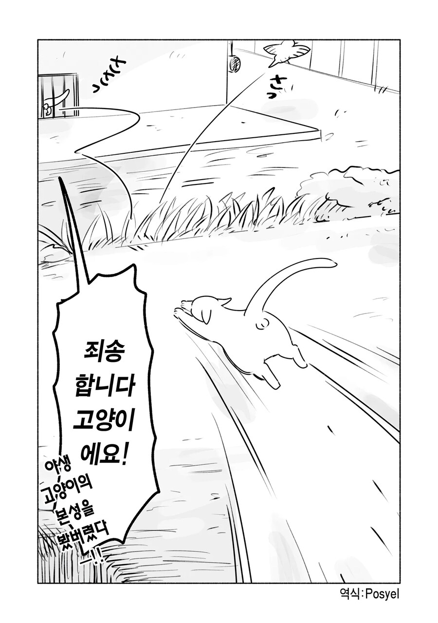 고양이를 따라하는 참새와 도마뱀_12.png