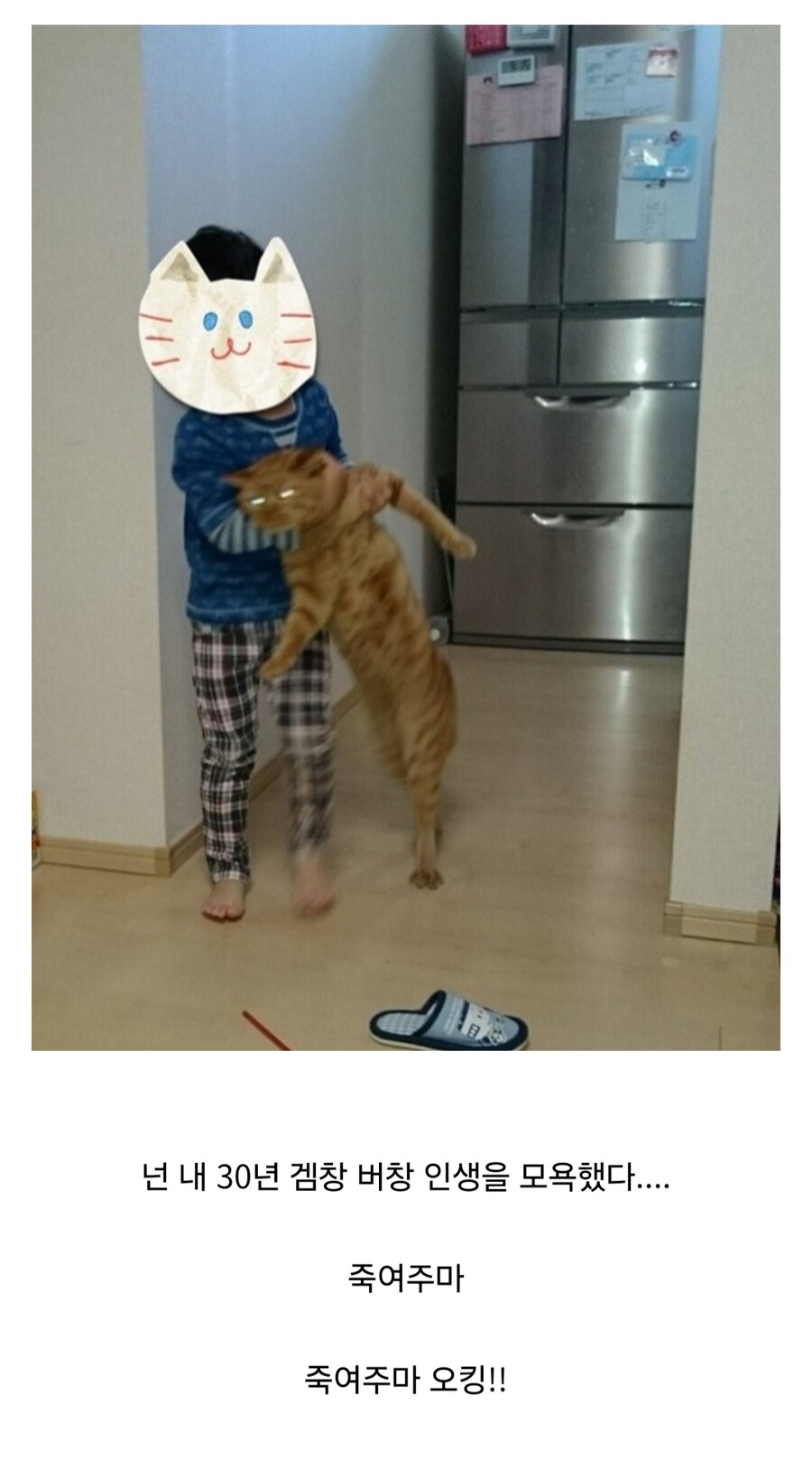 ㅇㅇㄱ) 요즘 하루하루가 늘 새로운 거 같긴 해_1.jpg