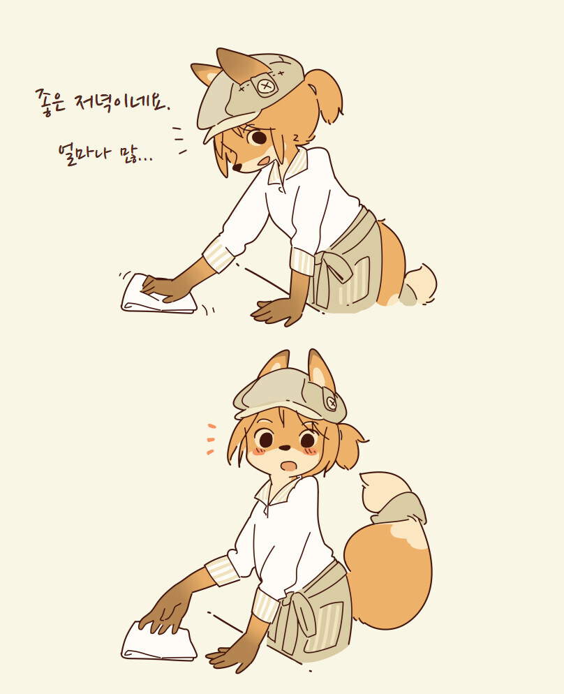 야기 여우짤 모음_5.jpg