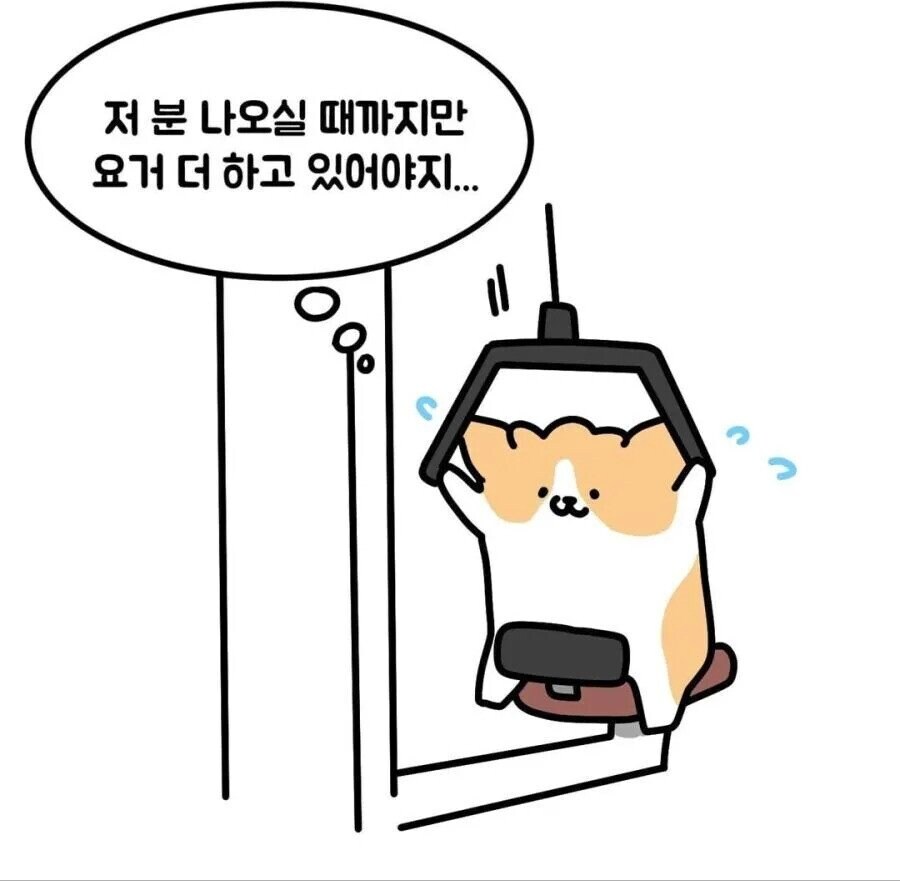 헬스장 소심한 사람들 특징_4.jpg