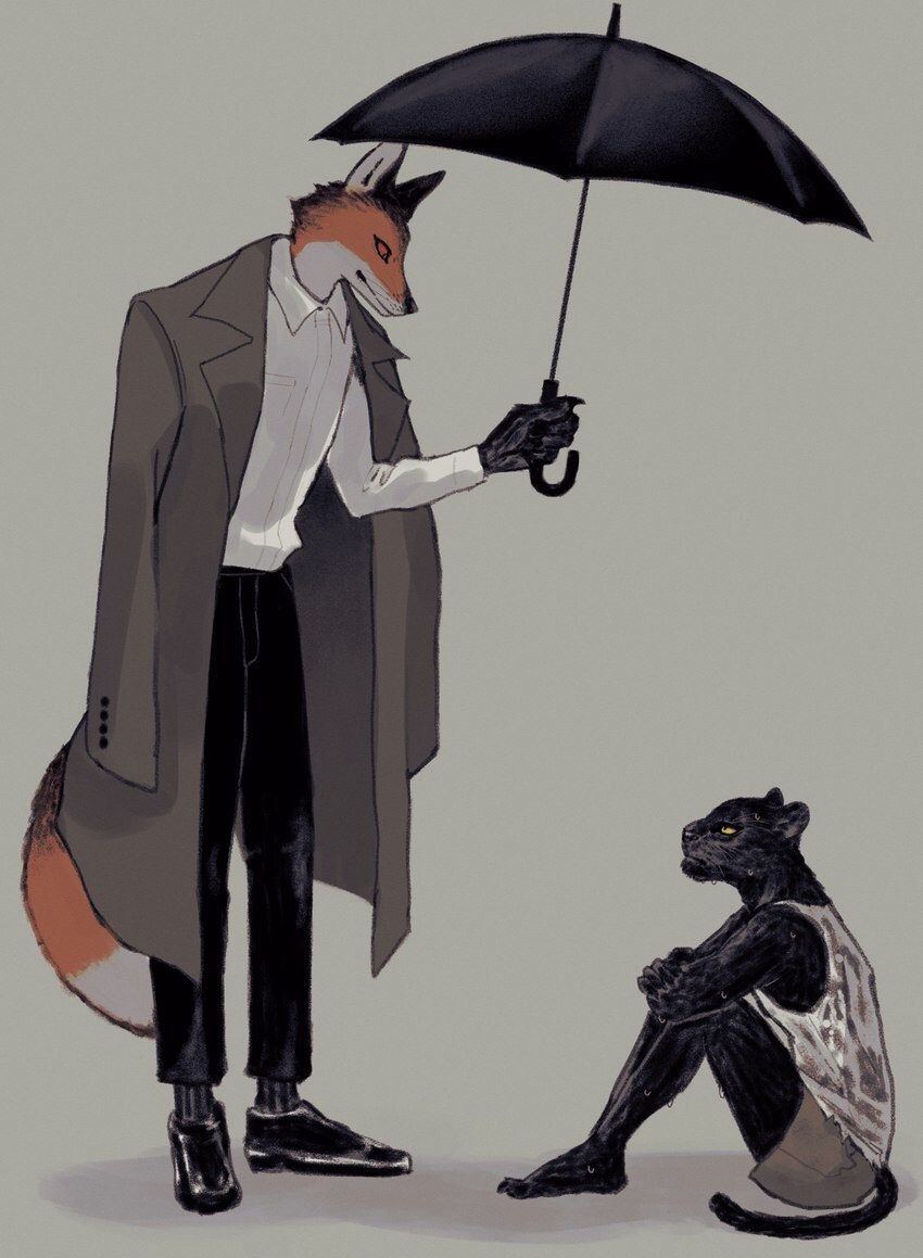퍼리_1.jpg