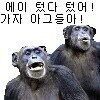 ㅇㅇㄱ)이양반 걍 1년 버로우한다_1.jpg