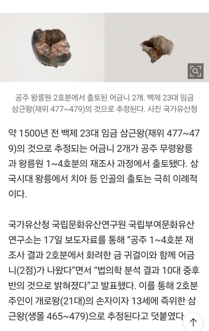 1500년 전 백제 어금니 2개 나왔다…15세 소년 왕 치아인 듯_1.jpg