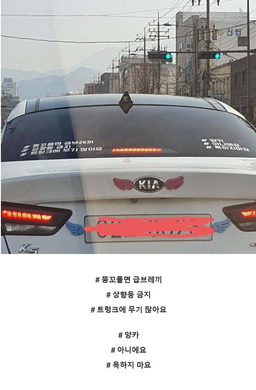 가짜 광기 jpg._1.jpg