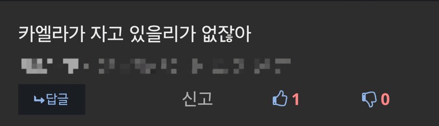 버튜버)카엘라에 대한 논리적인 반박을 하는 유게이.comic_3.jpg