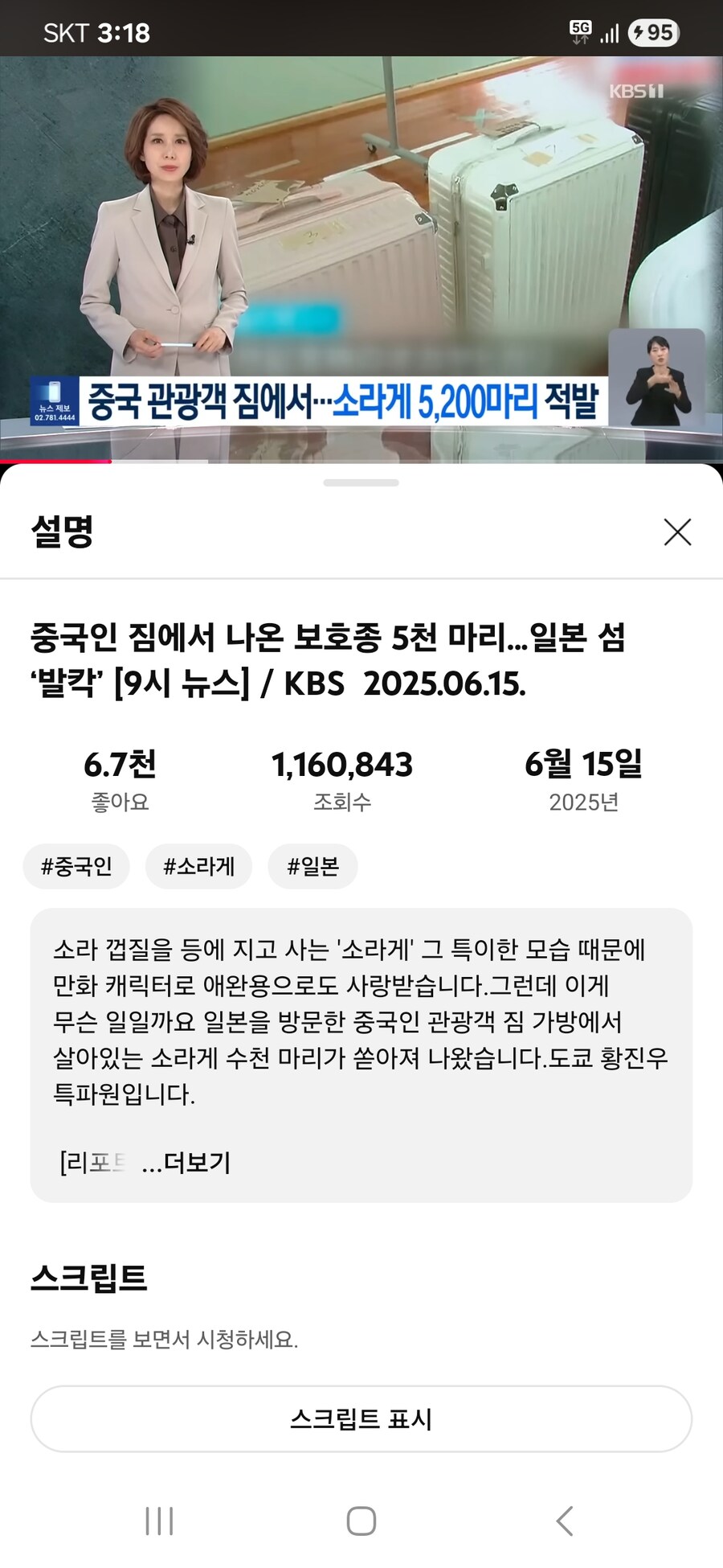중국인 관광객 3명이 일본에 가서 소라게 5200마리 불법포획;_1.jpg