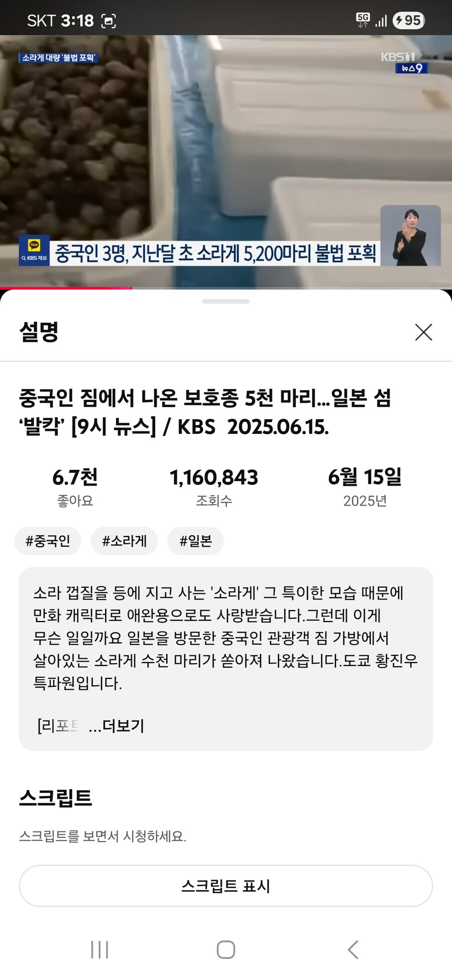 중국인 관광객 3명이 일본에 가서 소라게 5200마리 불법포획;_2.jpg