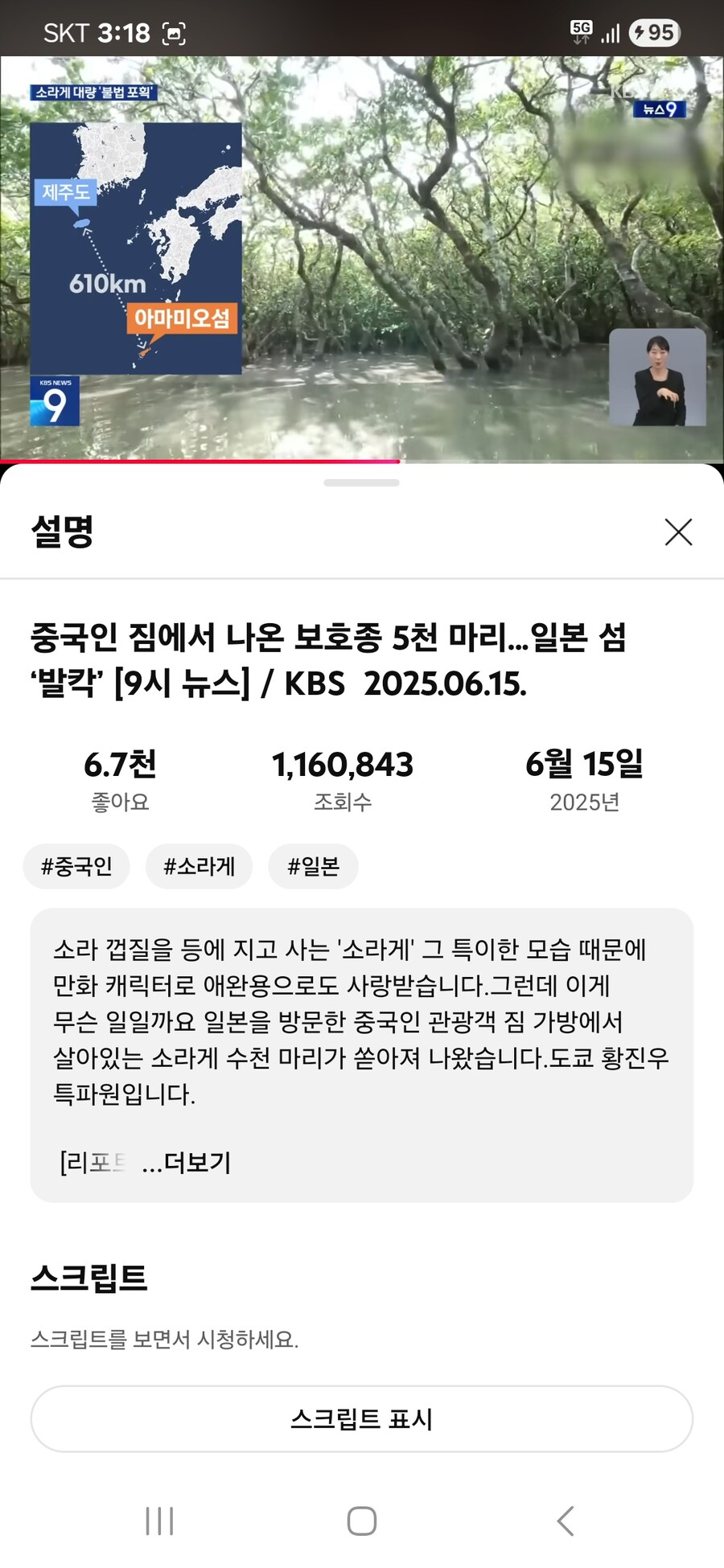 중국인 관광객 3명이 일본에 가서 소라게 5200마리 불법포획;_4.jpg
